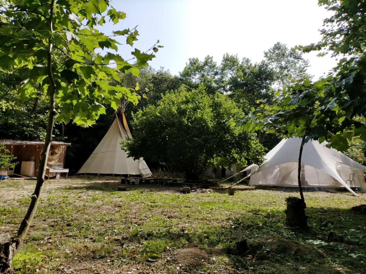 Albergue Del Oso Tierraluz Arbúcies Eksteriør billede