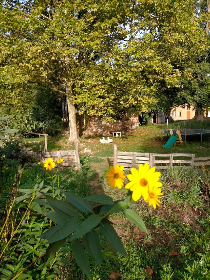 Albergue Del Oso Tierraluz Arbúcies Eksteriør billede